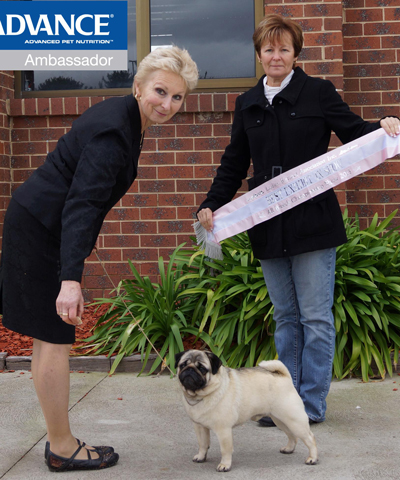 snap-bis-ladies-kennel-club